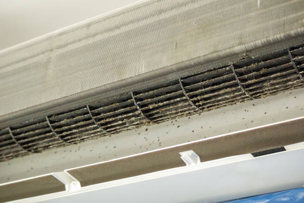 Best HVAC Duct Inspection Services  in Wilder, VT